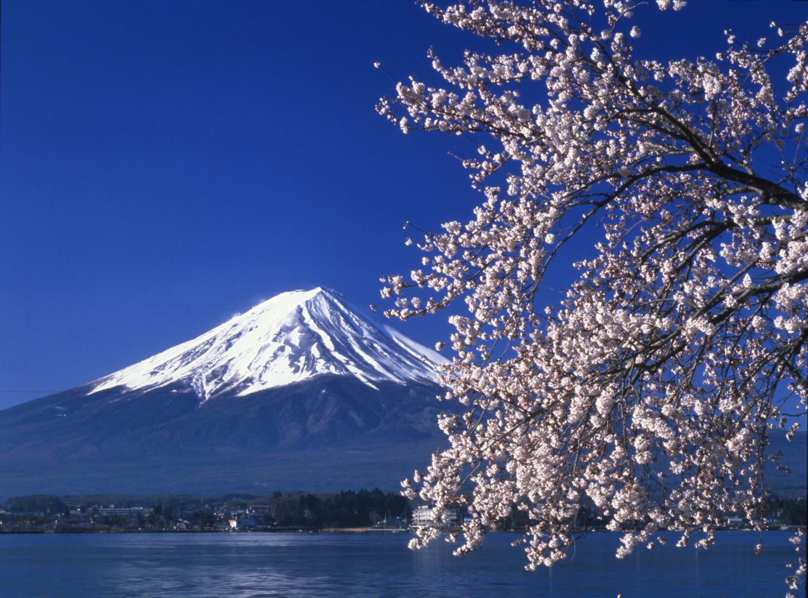 Fuji